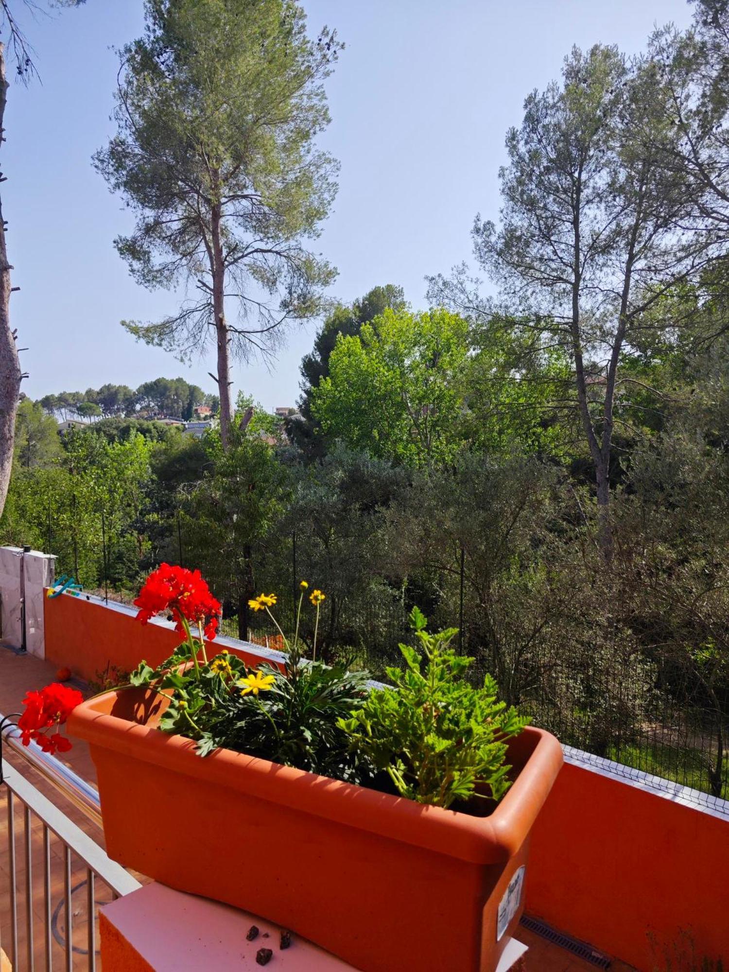 Villa Relax House Barcelone Sant Esteve Sesrovires Exterior foto